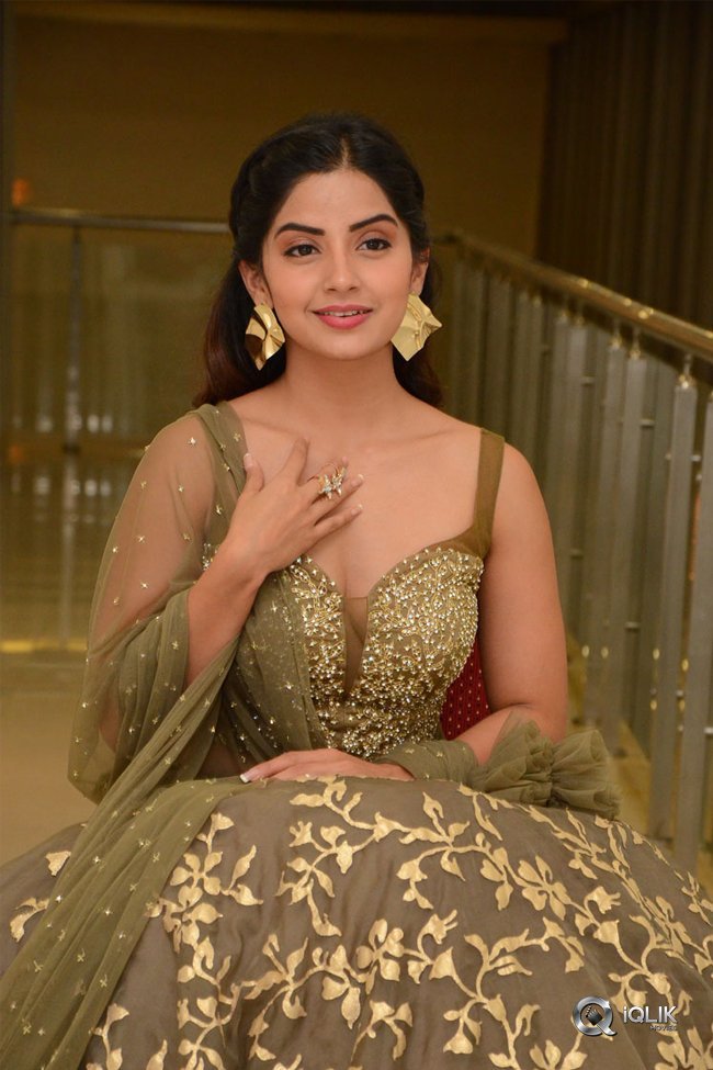 Kashmira-at-Nartanasala-Pre-Release-Event